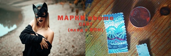 сатива Бородино
