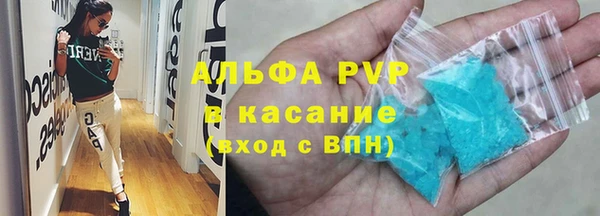 сатива Бородино