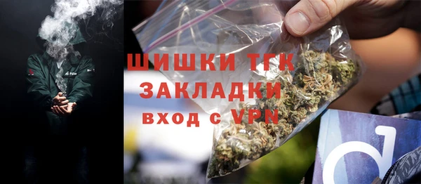 сатива Бородино