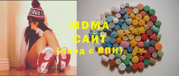 сатива Бородино