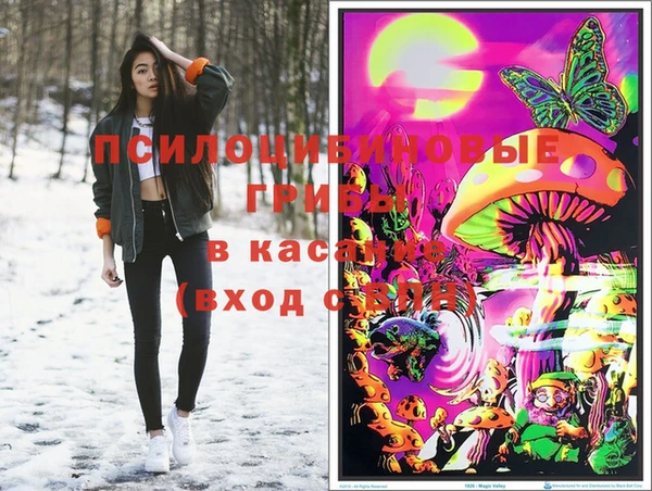 сатива Бородино