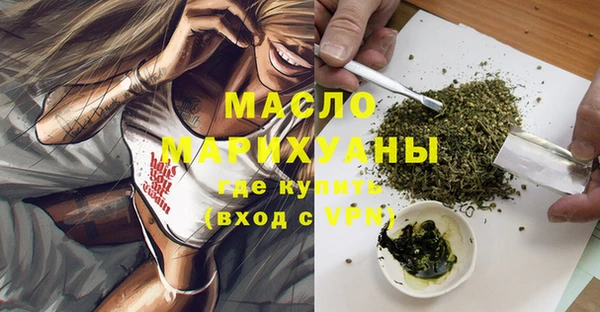 сатива Бородино