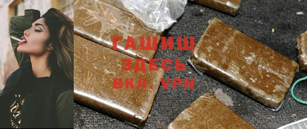 сатива Бородино