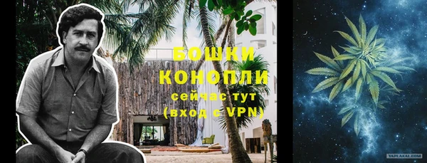 сатива Бородино