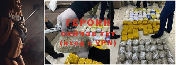 сатива Бородино