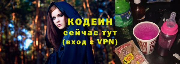 сатива Бородино