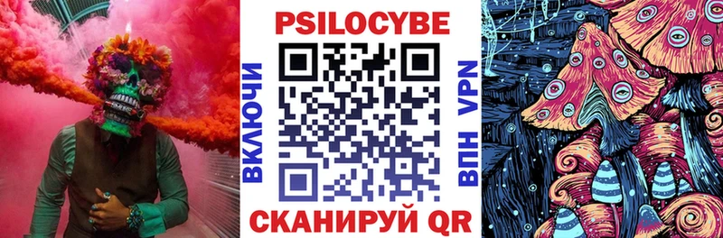 Псилоцибиновые грибы MAGIC MUSHROOMS  OMG маркетплейс  Стерлитамак 